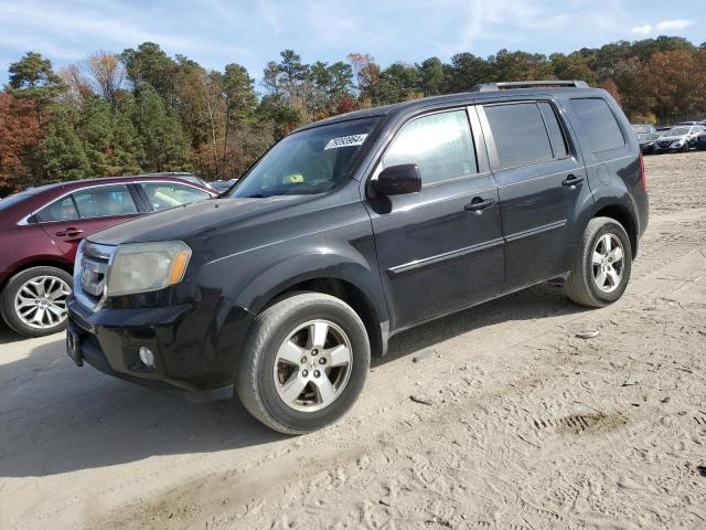 HONDA PILOT EXL 2011 5fnyf4h56bb027796