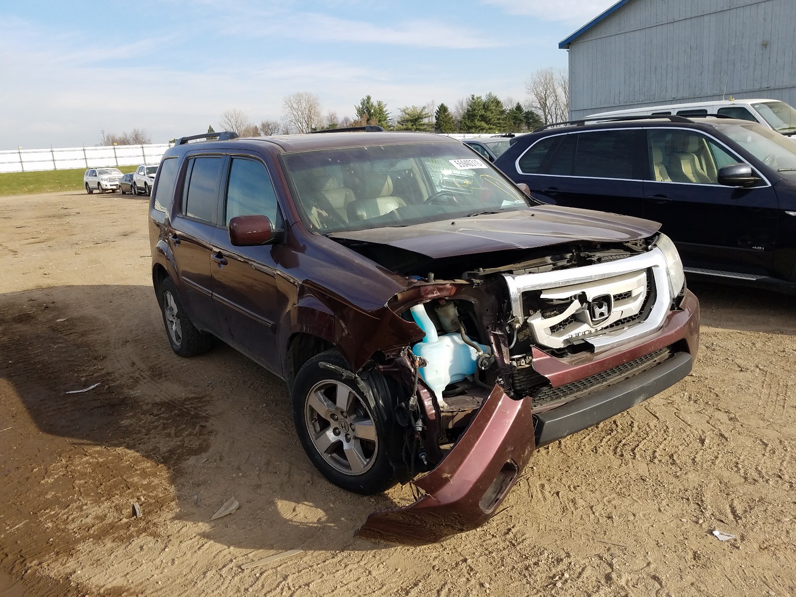 HONDA PILOT EXL 2011 5fnyf4h56bb041147