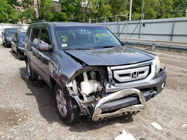 HONDA PILOT EXL 2011 5fnyf4h56bb053041