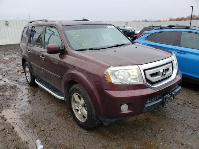 HONDA PILOT EXL 2011 5fnyf4h56bb060152