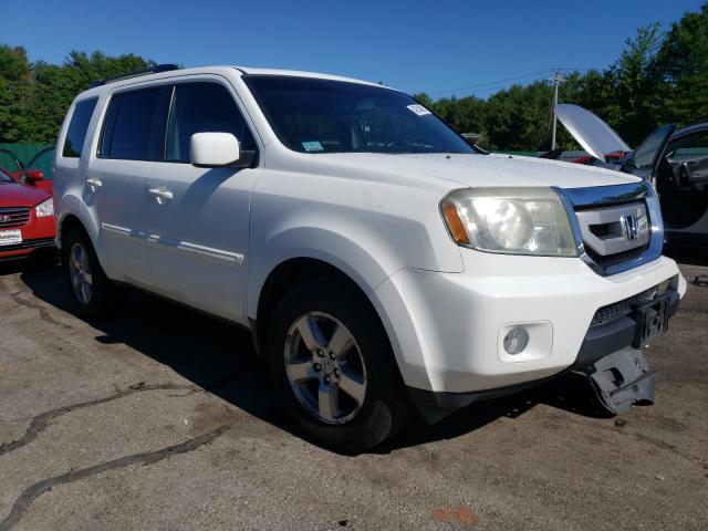 HONDA PILOT EXL 2011 5fnyf4h56bb070549