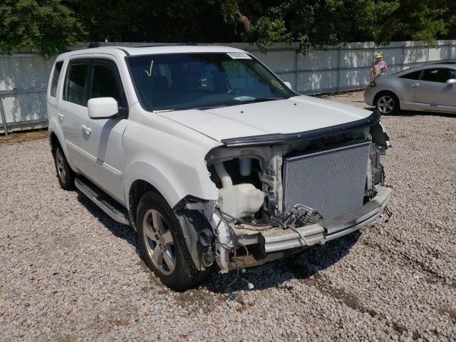 HONDA PILOT EXL 2011 5fnyf4h56bb075735