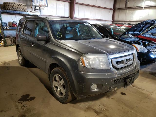 HONDA PILOT EXL 2011 5fnyf4h56bb076416