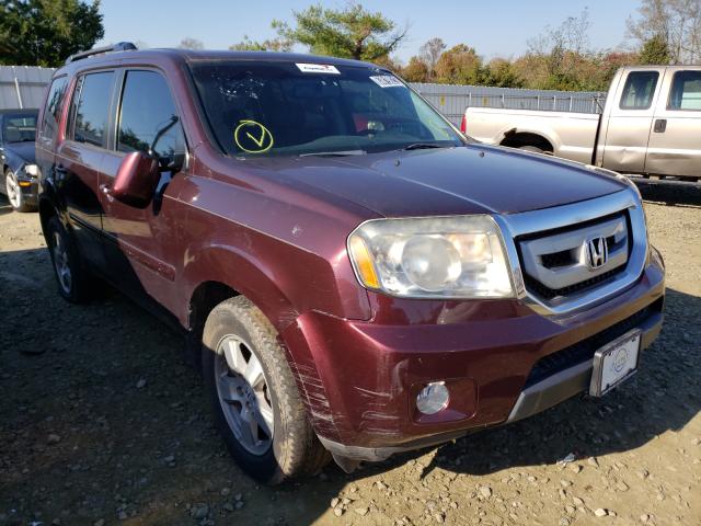 HONDA PILOT EXL 2011 5fnyf4h56bb088646