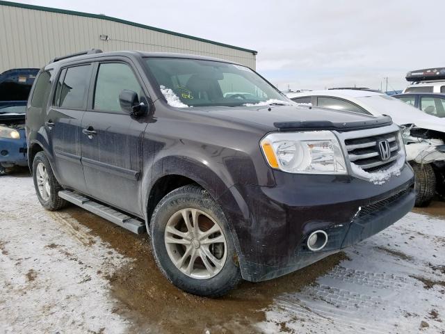 HONDA PILOT EXL 2013 5fnyf4h56db503869