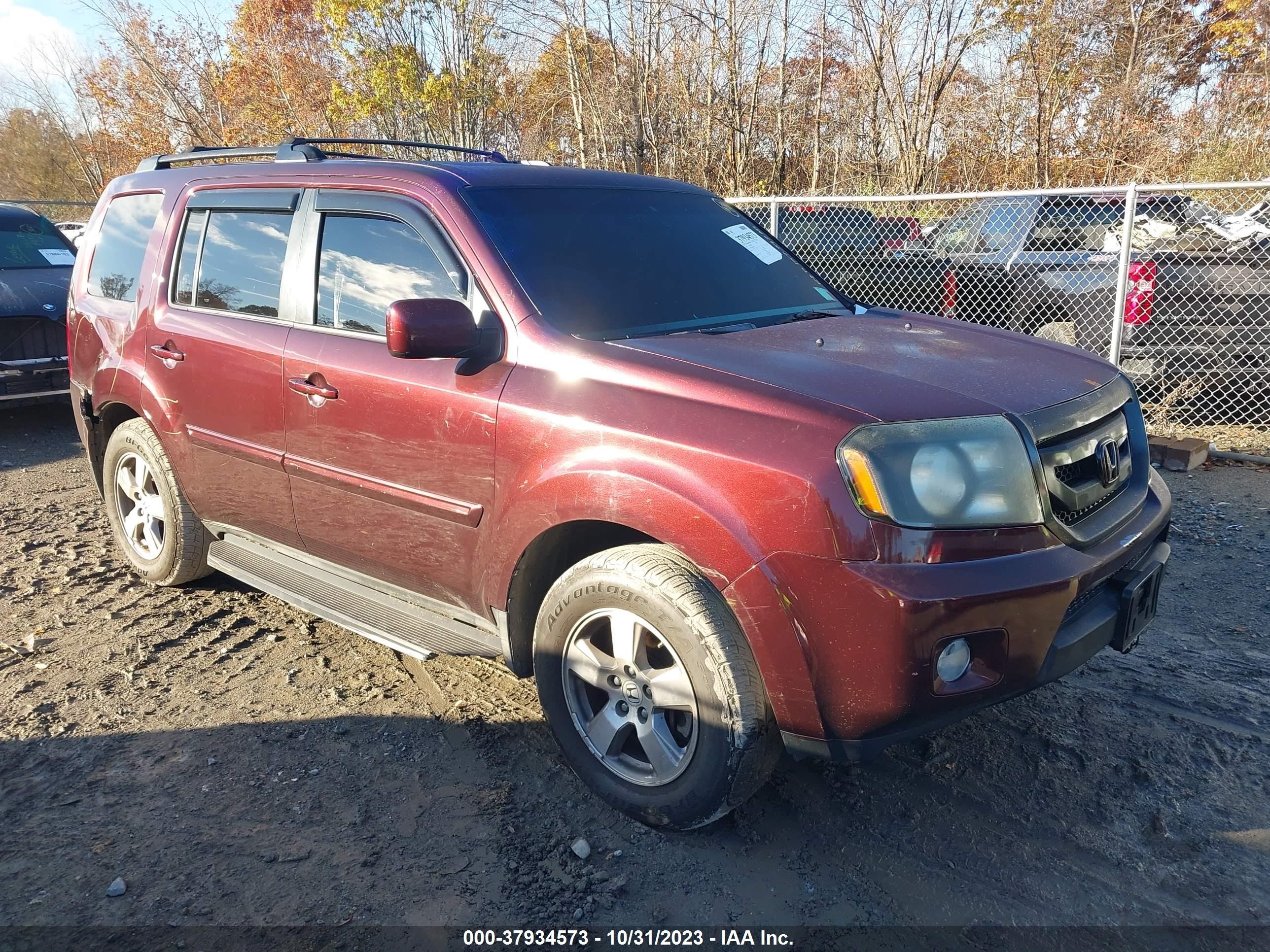 HONDA PILOT 2010 5fnyf4h57ab018829