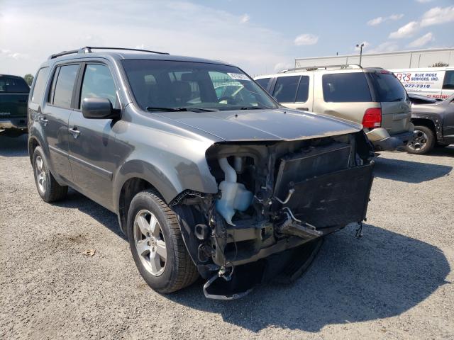 HONDA PILOT EXL 2010 5fnyf4h57ab024842