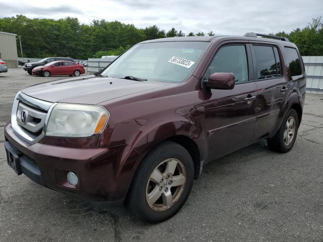 HONDA PILOT EXL 2010 5fnyf4h57ab026459