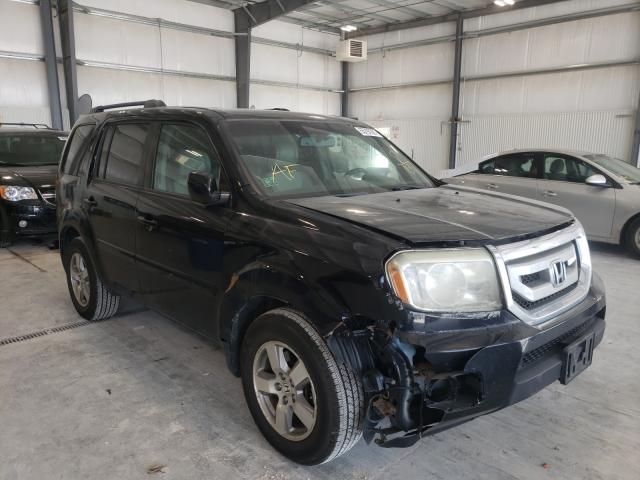 HONDA PILOT EXL 2010 5fnyf4h57ab029541