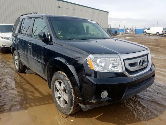 HONDA PILOT EXL 2010 5fnyf4h57ab502435