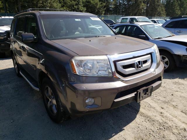 HONDA PILOT EXL 2011 5fnyf4h57bb005385