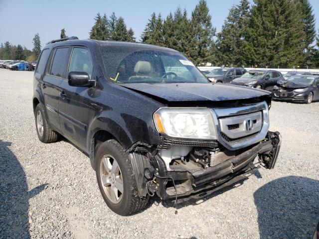 HONDA PILOT EXL 2011 5fnyf4h57bb019903