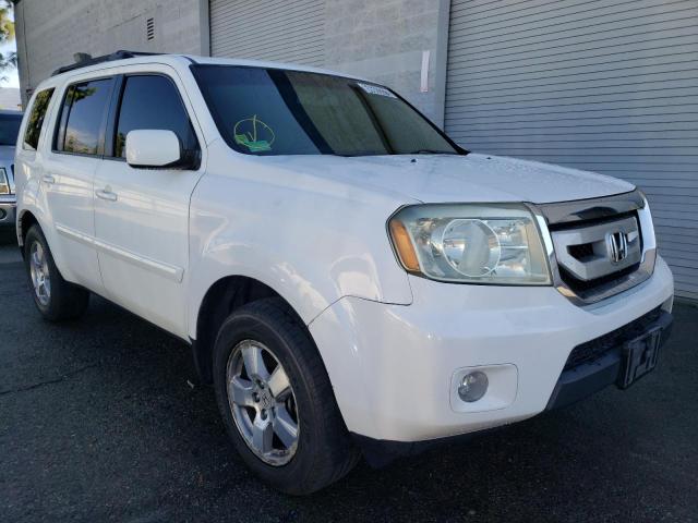 HONDA PILOT EXL 2011 5fnyf4h57bb020419