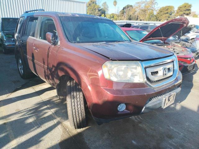 HONDA PILOT EXL 2011 5fnyf4h57bb035521