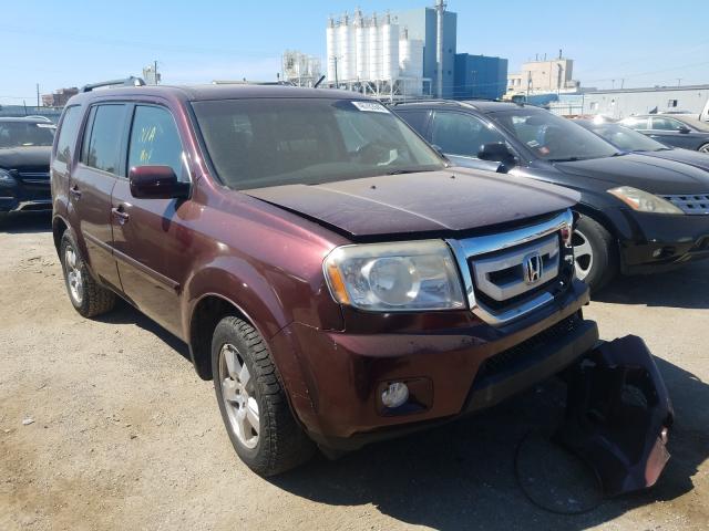 HONDA PILOT EXL 2011 5fnyf4h57bb037186