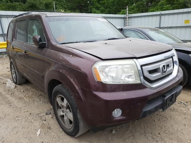 HONDA PILOT EXL 2011 5fnyf4h57bb041156