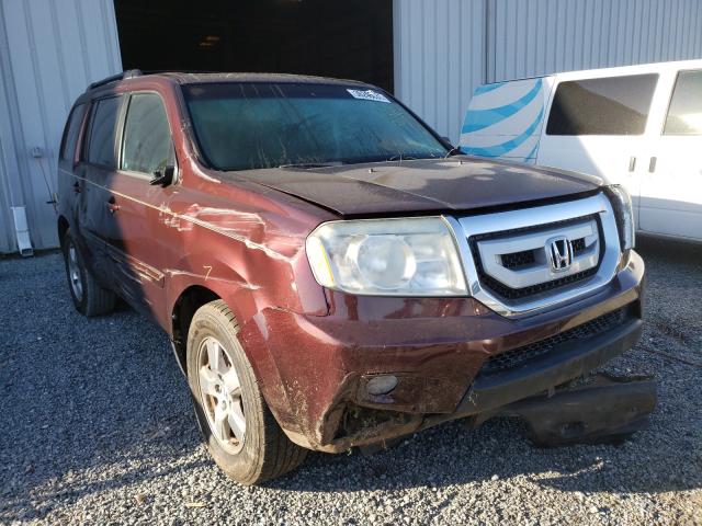 HONDA PILOT EXL 2011 5fnyf4h57bb044770