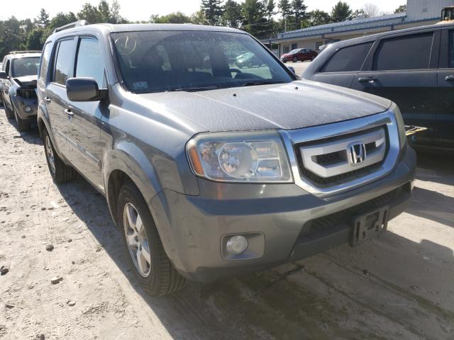 HONDA PILOT EXL 2011 5fnyf4h57bb049385