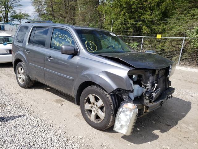 HONDA PILOT EXL 2011 5fnyf4h57bb076893