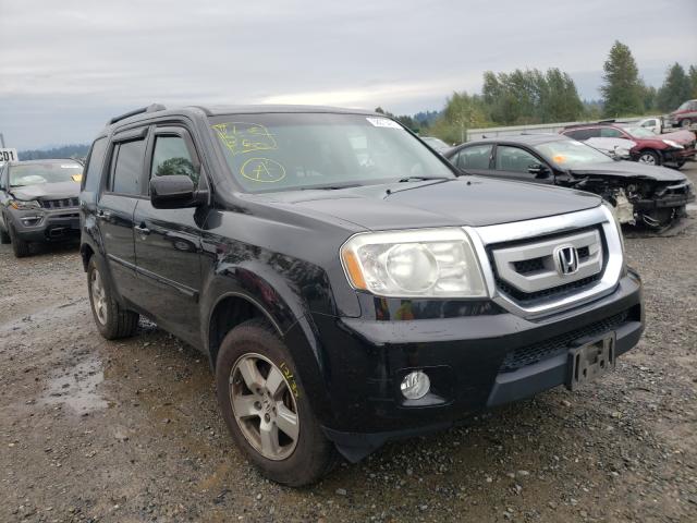 HONDA PILOT EXL 2011 5fnyf4h57bb077753