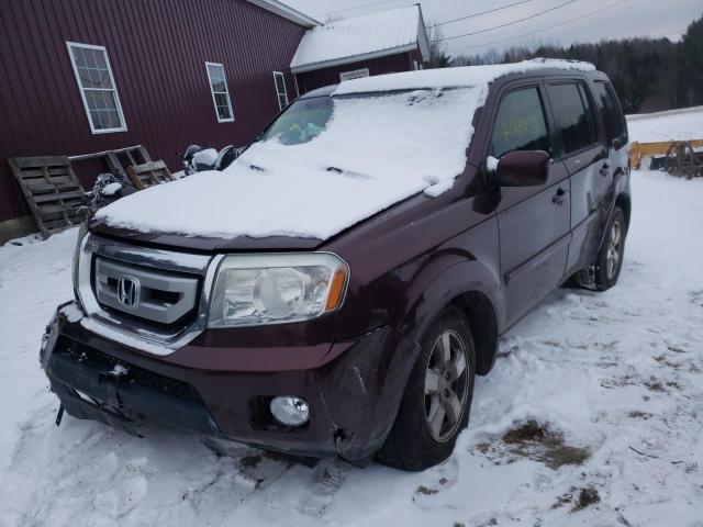 HONDA PILOT EXL 2011 5fnyf4h57bb091720