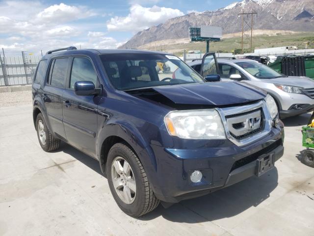 HONDA PILOT 2011 5fnyf4h57bb095878