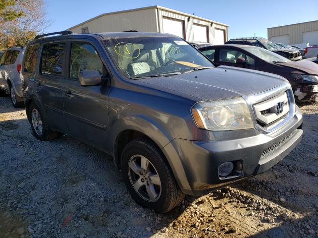 HONDA PILOT EXL 2010 5fnyf4h58ab005183