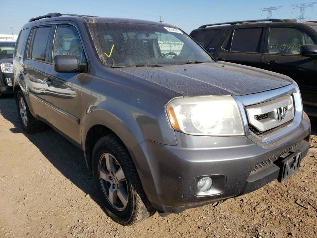 HONDA PILOT EXL 2010 5fnyf4h58ab010805