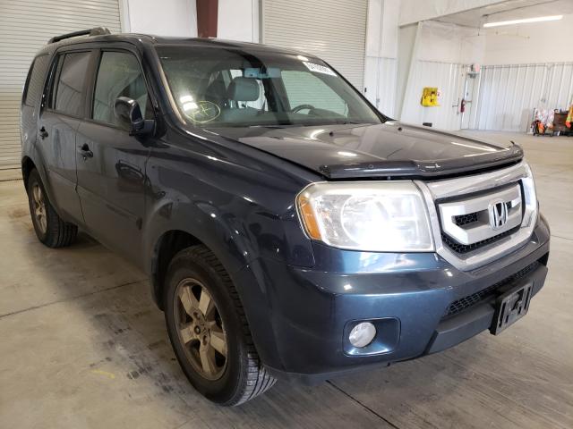 HONDA PILOT EXL 2010 5fnyf4h58ab011470