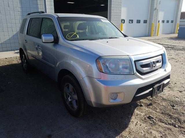 HONDA PILOT EXL 2010 5fnyf4h58ab014904