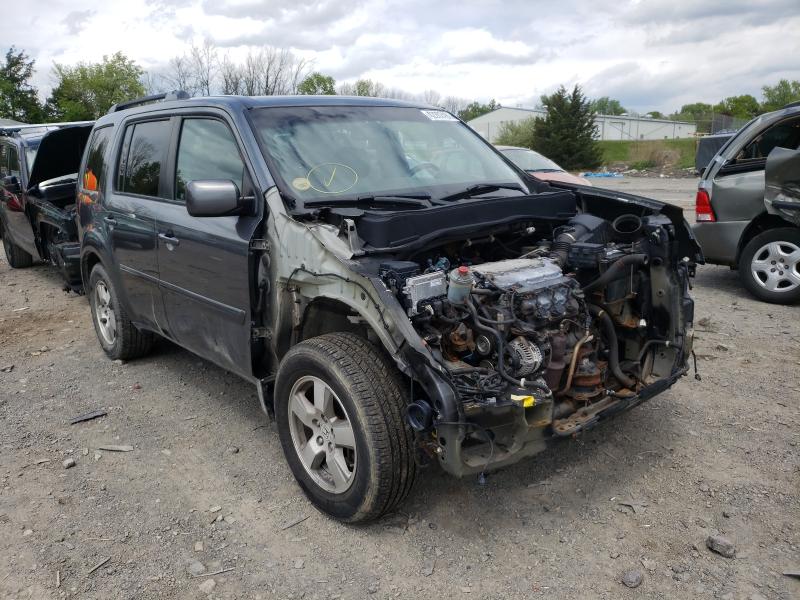 HONDA PILOT EXL 2010 5fnyf4h58ab024820