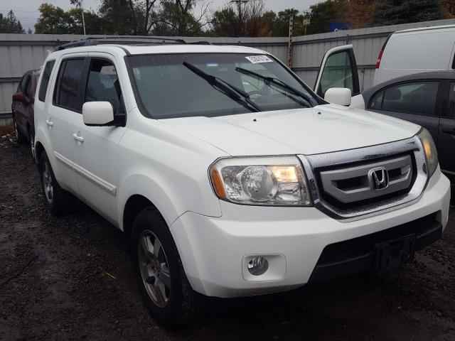 HONDA PILOT EXL 2010 5fnyf4h58ab026597