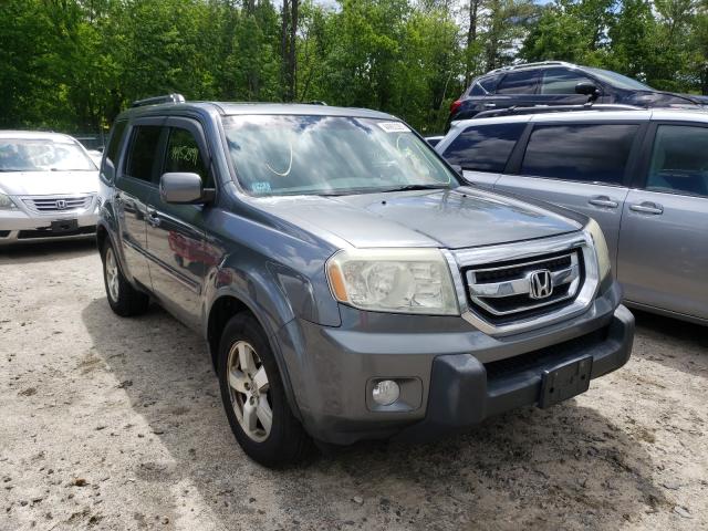 HONDA PILOT EXL 2010 5fnyf4h58ab034795