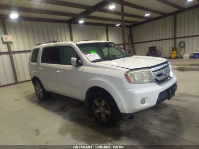 HONDA PILOT 2010 5fnyf4h58ab037227