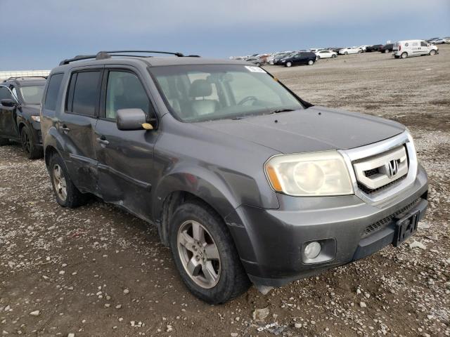 HONDA PILOT EXL 2010 5fnyf4h58ab038930