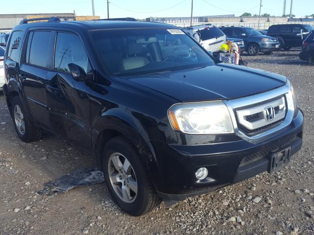 HONDA PILOT EXL 2010 5fnyf4h58ab038989