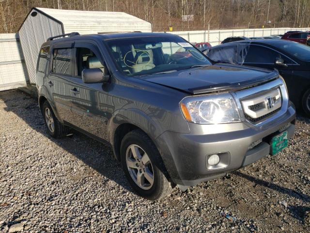 HONDA PILOT EXL 2011 5fnyf4h58bb003774