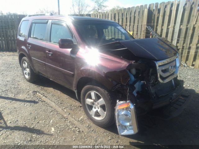 HONDA PILOT 2011 5fnyf4h58bb011776