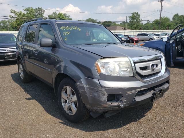 HONDA PILOT EXL 2011 5fnyf4h58bb020011