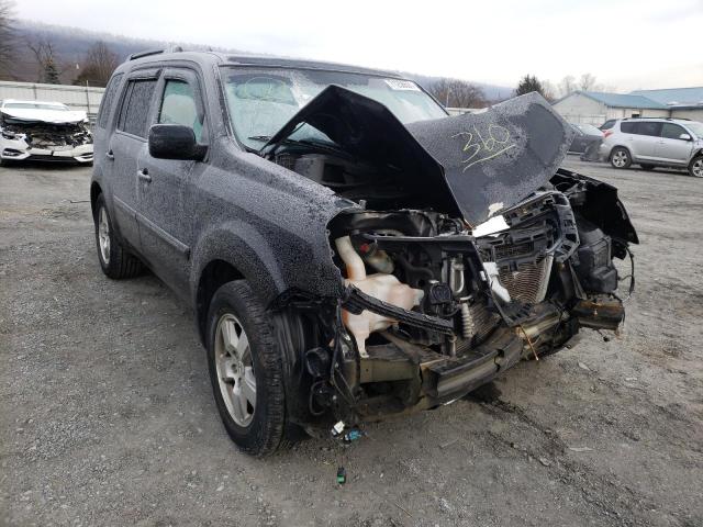 HONDA PILOT EXL 2011 5fnyf4h58bb035155