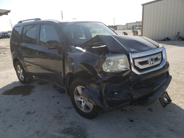 HONDA PILOT EXL 2011 5fnyf4h58bb035205