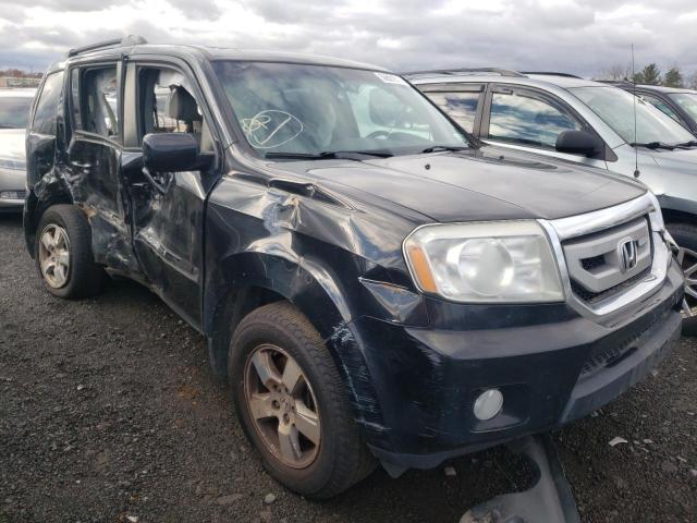 HONDA PILOT EXL 2011 5fnyf4h58bb057656