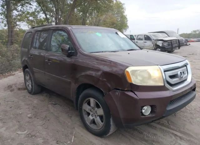 HONDA PILOT 2011 5fnyf4h58bb060301