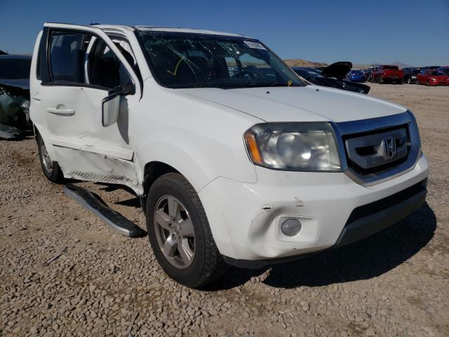 HONDA PILOT EXL 2011 5fnyf4h58bb085585