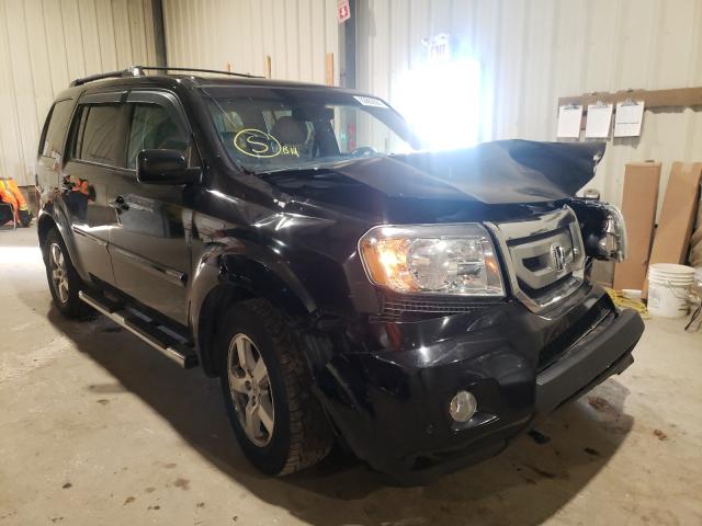 HONDA PILOT EXL 2011 5fnyf4h58bb502171