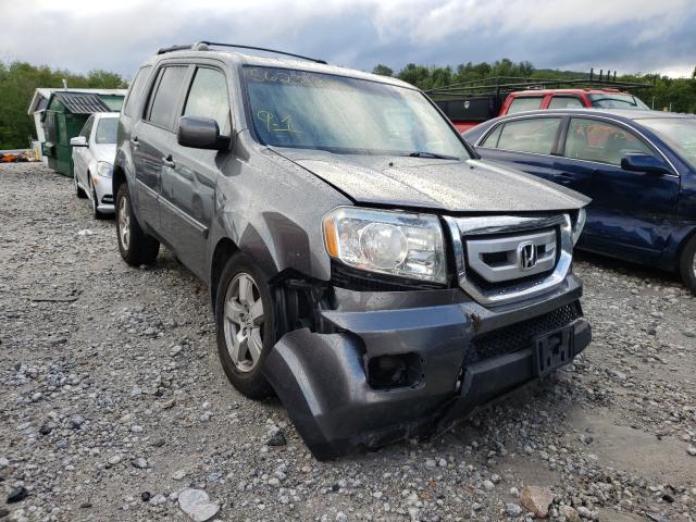 HONDA PILOT EXL 2010 5fnyf4h59ab006634