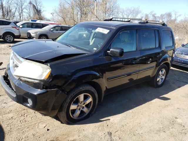 HONDA PILOT EXL 2010 5fnyf4h59ab008884