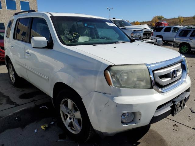 HONDA PILOT EXL 2010 5fnyf4h59ab025314