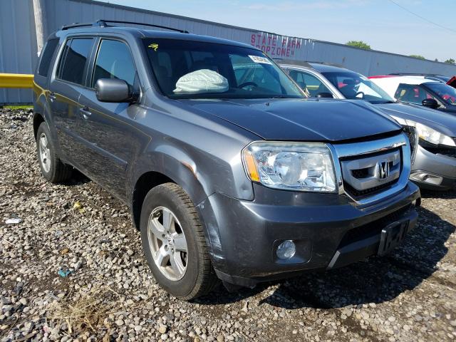 HONDA PILOT EXL 2010 5fnyf4h59ab027662