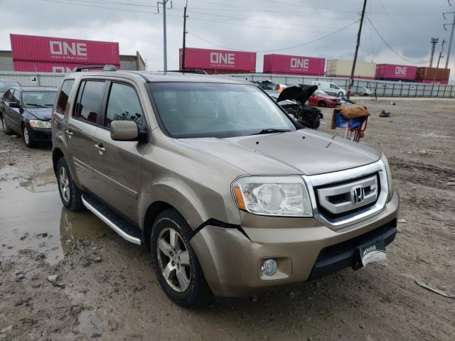 HONDA PILOT EXL 2010 5fnyf4h59ab034286